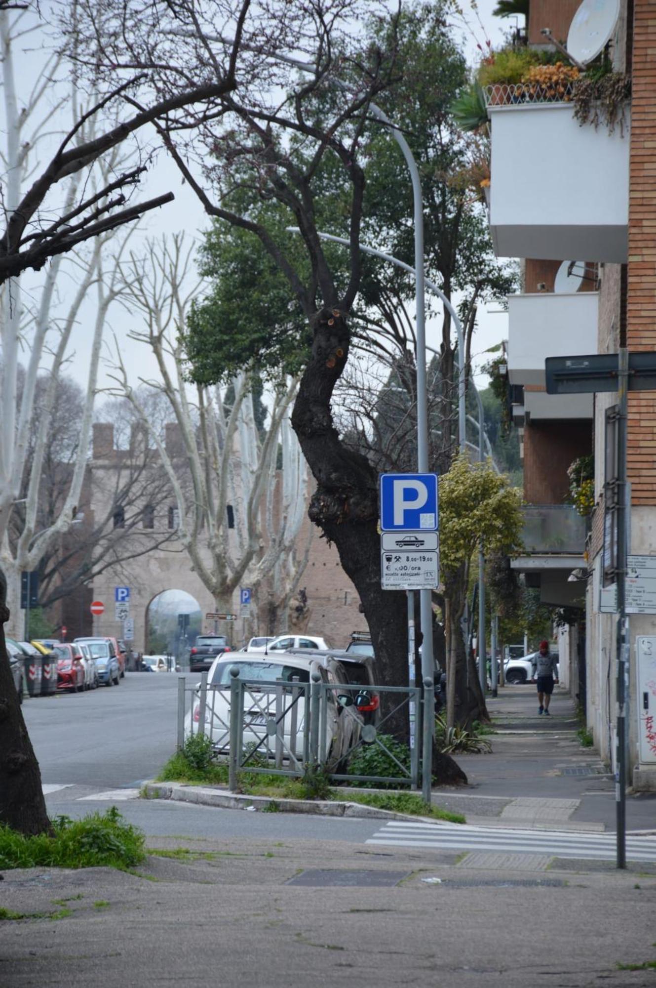 Il Regno Dei Colori Roma