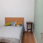 Il Regno Dei Colori